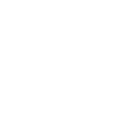 Case study icon